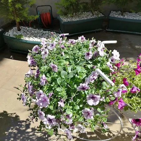 Otel City Hotel Marmaris Marmaris