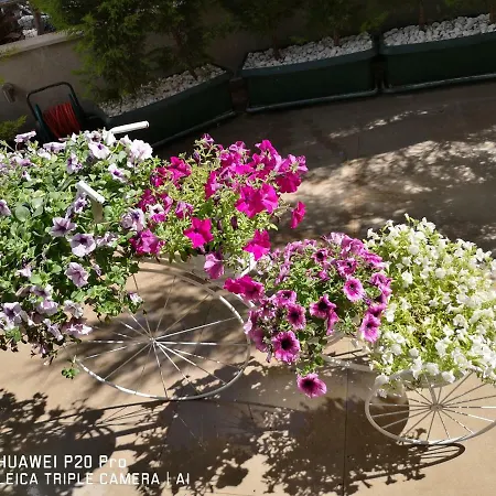 Otel City Hotel Marmaris Marmaris