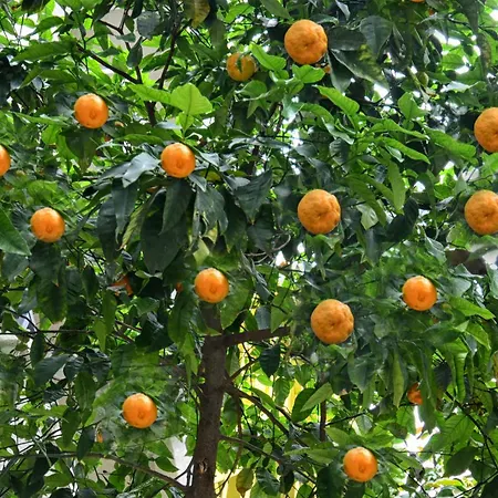 Hotel City Hotel Marmaris 3*